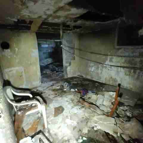 8031 conger (80).jpg